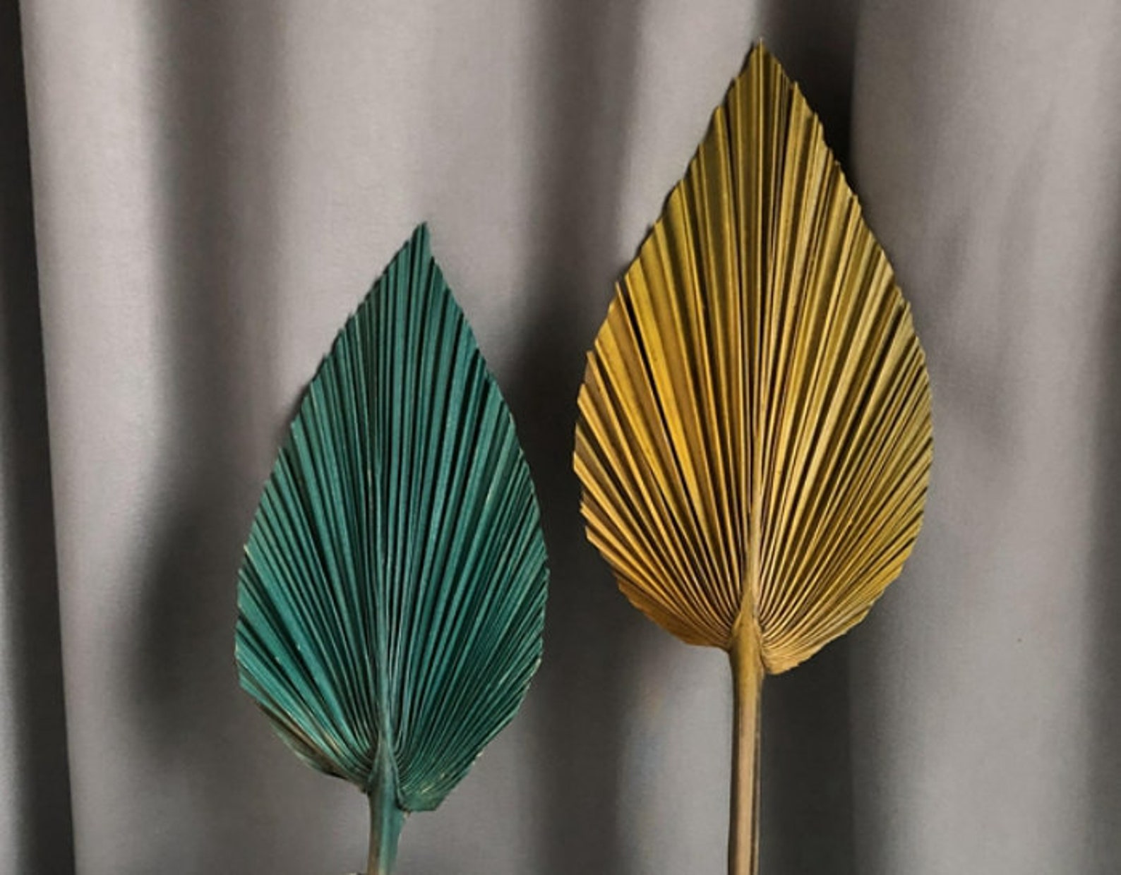 Palm Leaves Large Dried Palms Dried Palm Leaves Bleached Etsy