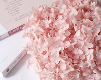 Pink dried flower Real Preserved flower Preserved hydrangea small hydrangea wedding flowers