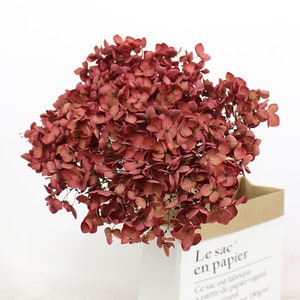 Preserved Flower Real Preserved Flower Preserved Hydrangea Small Hydrangea Wedding Flowers One Bunch