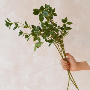 Può includere: Un mazzo di verde artificiale con più steli e piccole foglie verde scuro. Le foglie hanno una consistenza liscia e sono disposte lungo gli steli. Gli steli sono di colore marrone chiaro. Il verde è tenuto in una mano.