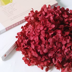 以下が含まれることがあります： 濃い赤色のドライフラワーの紫陽花の花束。花は緩く自然な塊にまとめられています。