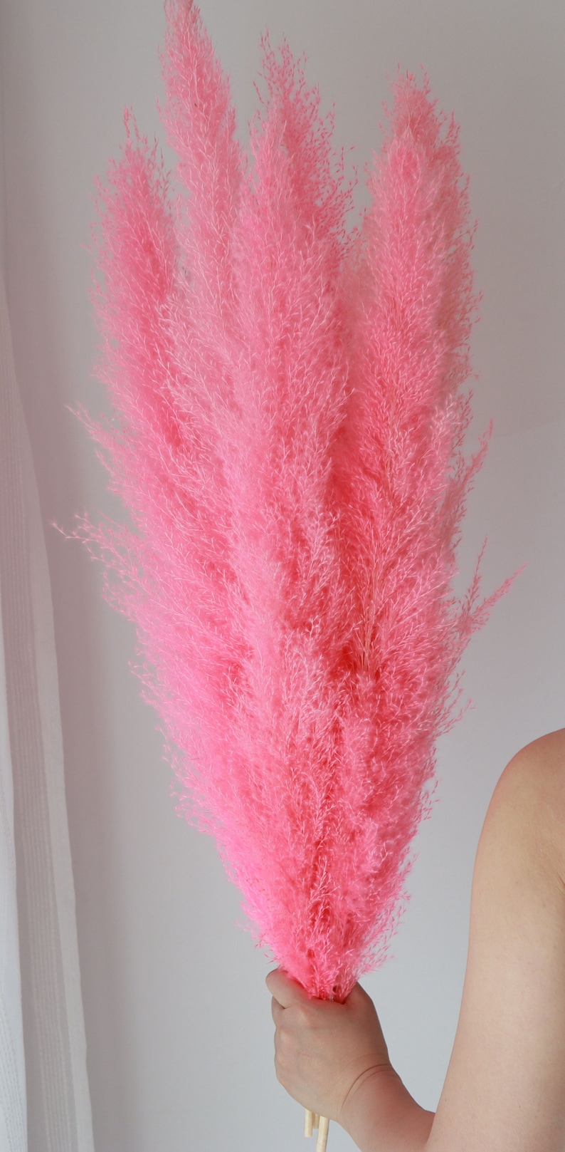Pink Natural Pampas Grass Dried Flowers Pampasgrass Natural Etsy