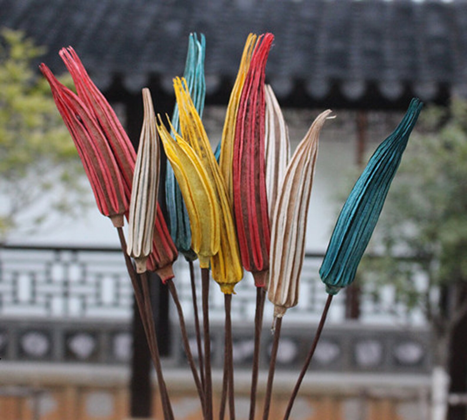 4 Color Dried Okra Natural Decor Okra Pods Dried Etsy