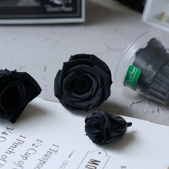 Flor negra seca Real Flor preservada Jardín de rosas Rosas - Etsy México