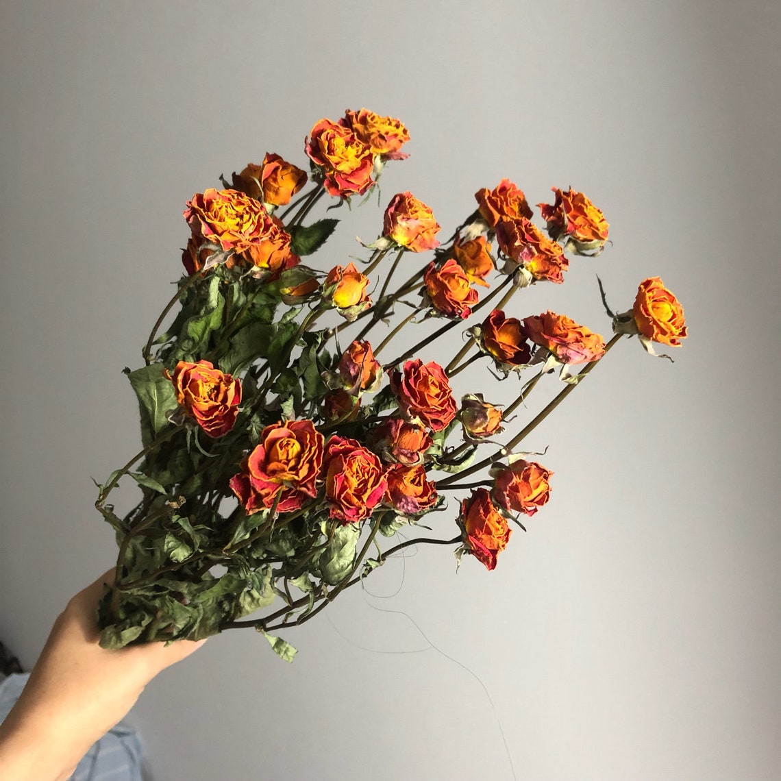 Orange Dried Roses Flowerdried Flower Bouquet Herbarium Etsy