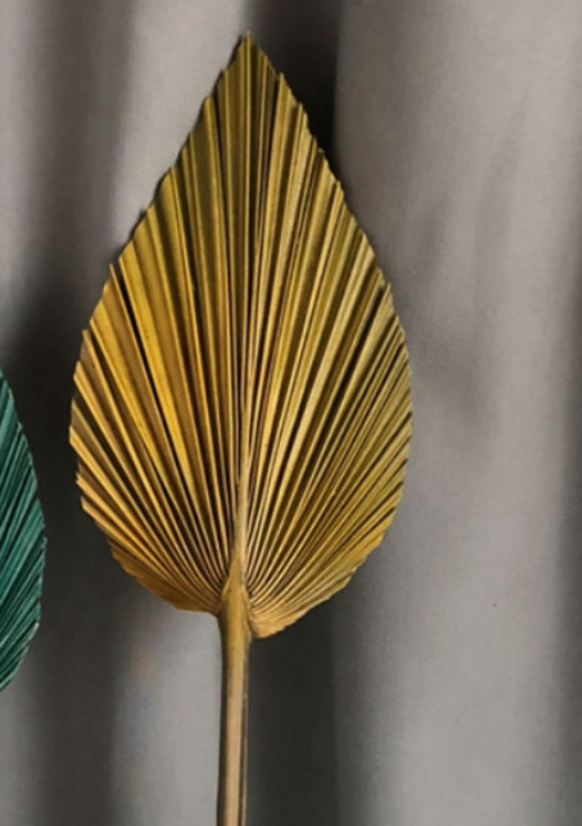 Palm Leaves Large Dried Palms Dried Palm Leaves Bleached Etsy