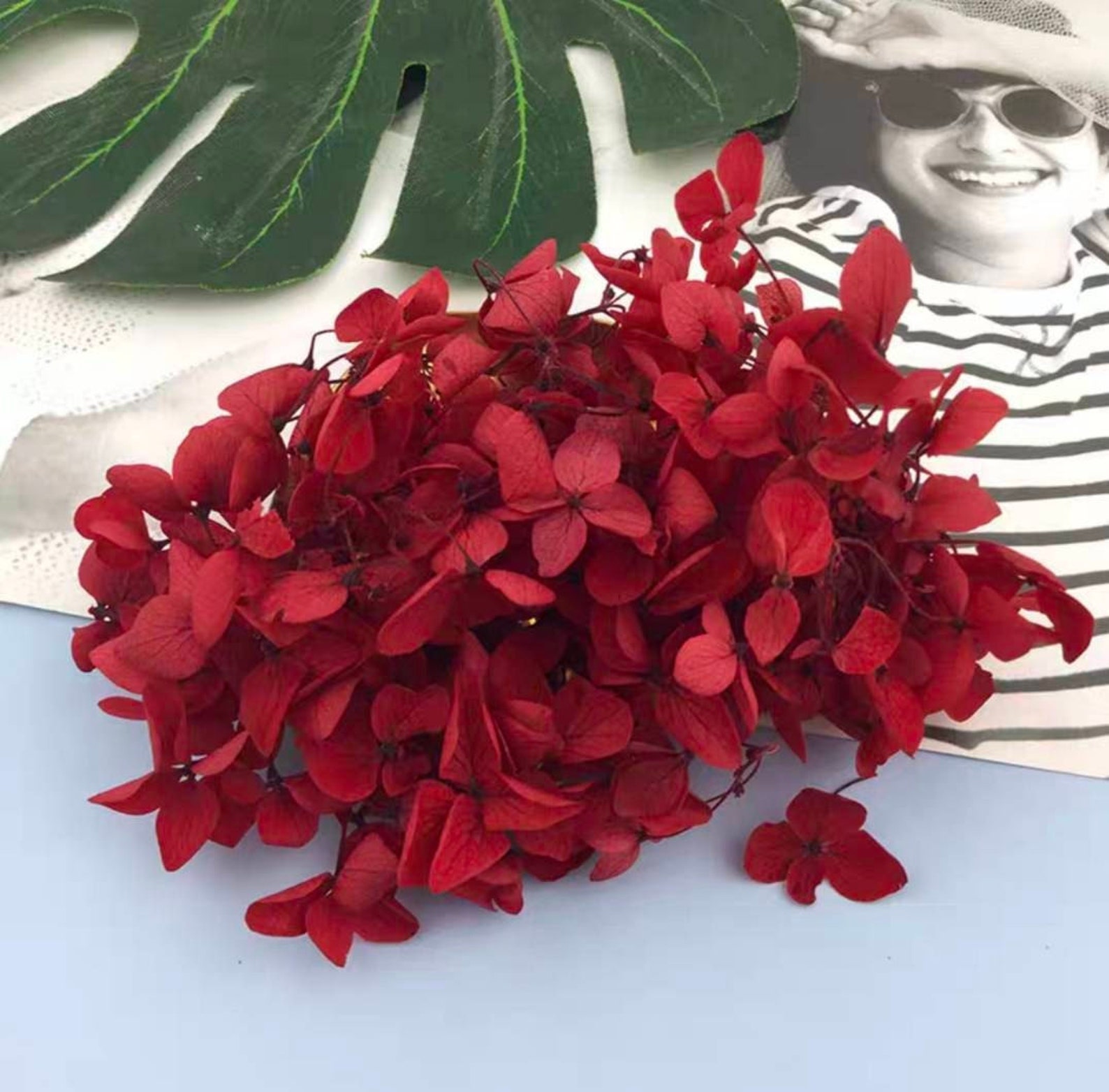 Red Dried Flower Real Preserved Flower Preserved Hydrangea Etsy