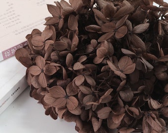 Flor seca marrón Real Flor preservada Hortensia pequeña hortensia flores de boda