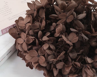 Brown dried flower Real Preserved flower Preserved hydrangea small hydrangea wedding flowers