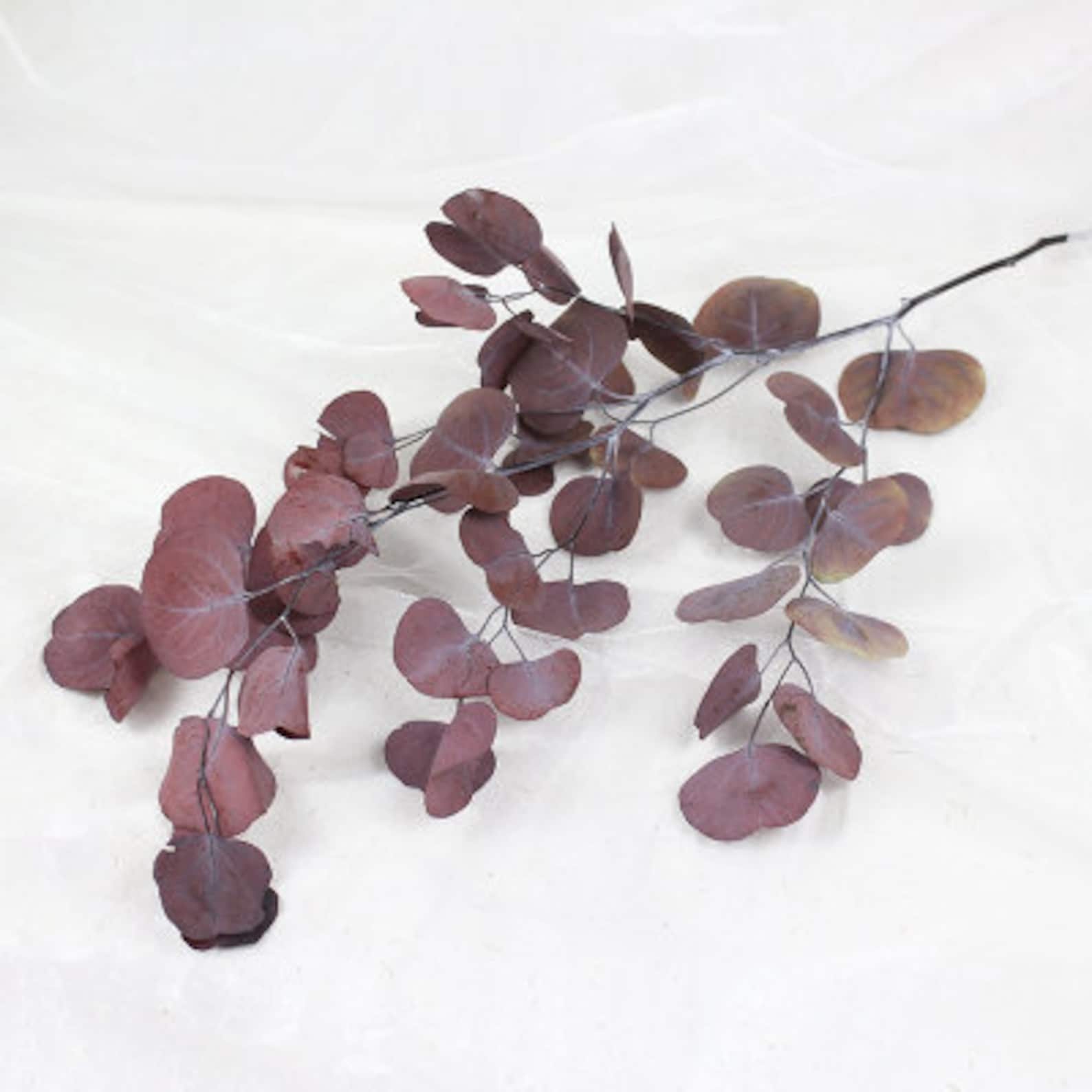 Colorful Dried Round eucalyptus leaves Real Preserved Flower Etsy