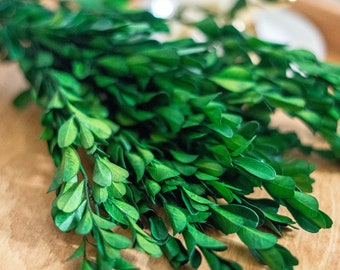 Boxwood Leaves, Preserved Leaves, greenery, Dried Flowers, Filler, Wedding Flowers, Wedding Decoration, House decoration, flowers