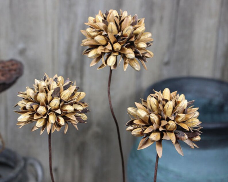 Natural Magnolia Dried Flowerhandmade Dried Flowerswedding Etsy