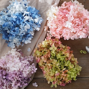 Colorful dried flower Real Preserved flower Preserved hydrangea small hydrangea wedding flowers