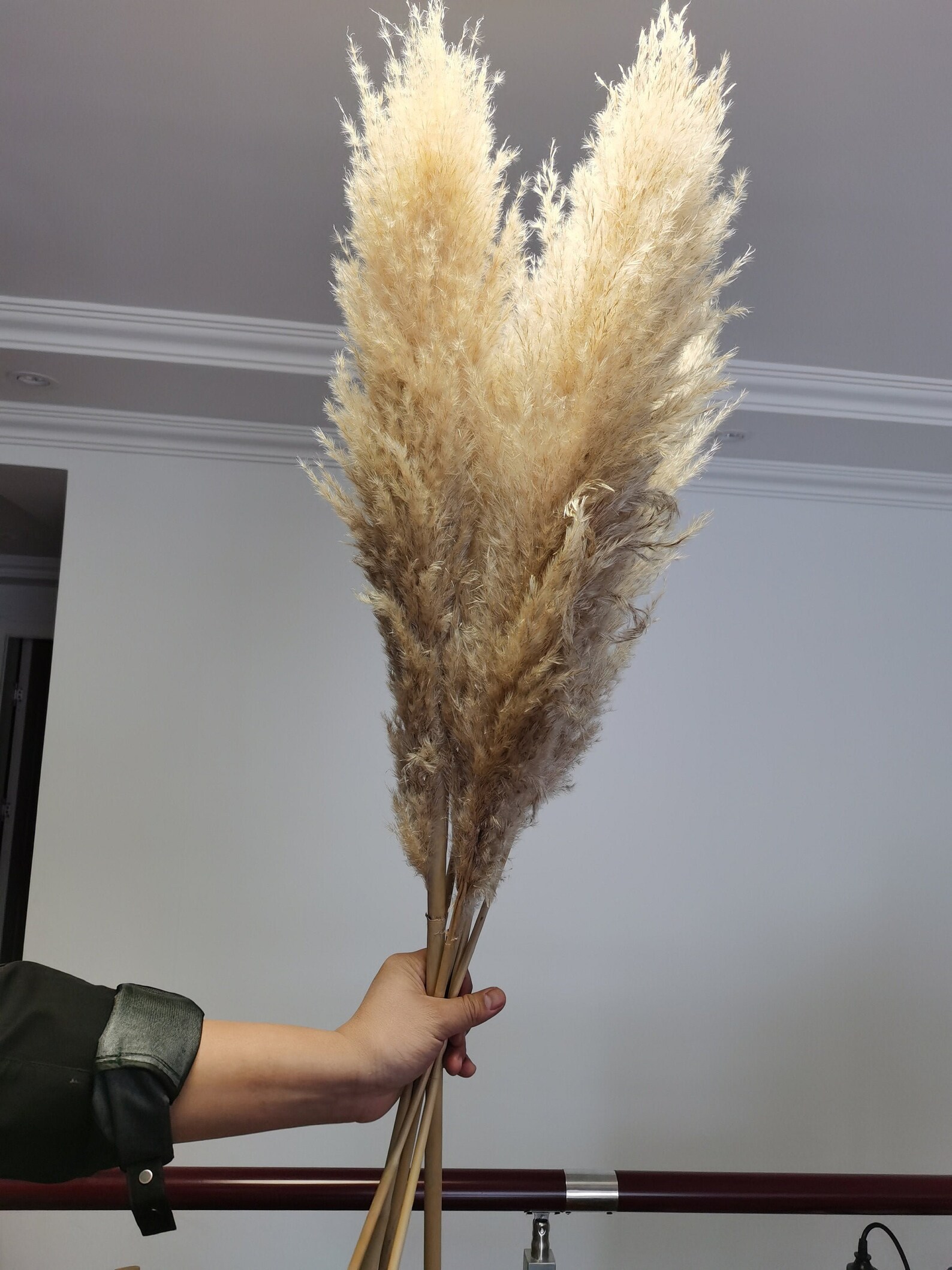 34 Large Yellow Pampas Grass 5 Stems Dried Flowers Etsy UK