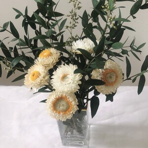 Eucalyptus daisy bouquet,Dried flower bouquet, Herbarium, Boho Wedding Bouquet,Floral Wall Art,Weddings, parties, home decorWithout vase image 3