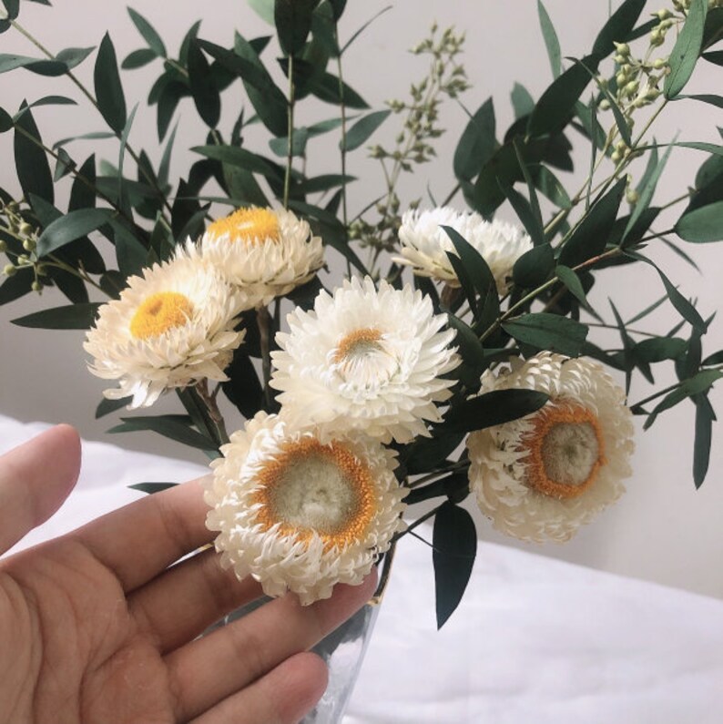 Eucalyptus daisy bouquet,Dried flower bouquet, Herbarium, Boho Wedding Bouquet,Floral Wall Art,Weddings, parties, home decorWithout vase image 2