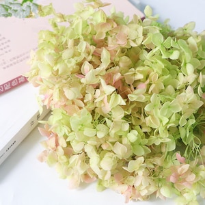 Green pink dried flower Real Preserved flower Preserved hydrangea small hydrangea wedding flowers