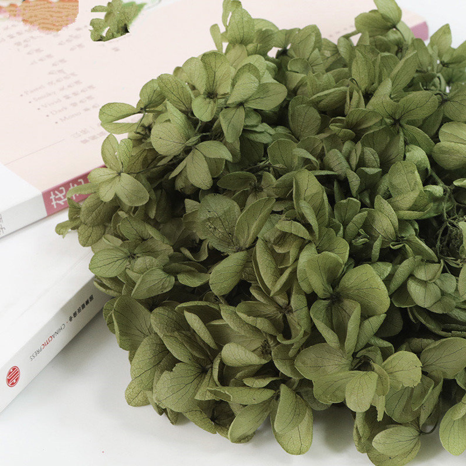 Dark Green Dried Flower Real Preserved Flower Preserved Etsy