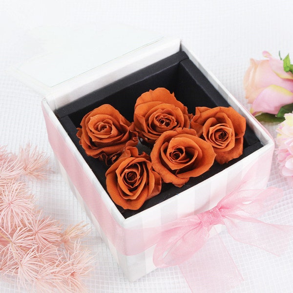 Dark orange dried flower Real Preserved flower David Austin Rose Garden Roses Preserved Rose Heads wedding 1 pc/ 1 box