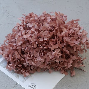 Colorful dried flower Real Preserved flower Preserved hydrangea small hydrangea wedding flowers