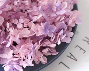 Purple dried flower Real Preserved flower Preserved hydrangea small hydrangea wedding flowers