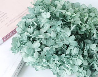 Green dried flower Real Preserved flower Preserved hydrangea small hydrangea wedding flowers