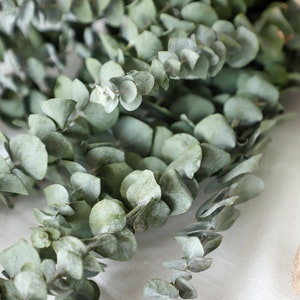 Dried flower bouquet, vase filler, natural home decor, dried flowers, rustic flower bouquets,Dry eucalyptus leaves