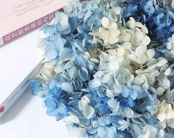 Blue White dried flower Real Preserved flower Preserved hydrangea small hydrangea wedding flowers
