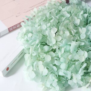 Light blue dried flower Real Preserved flower Preserved hydrangea small hydrangea wedding flowers