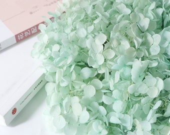 Light blue dried flower Real Preserved flower Preserved hydrangea small hydrangea wedding flowers