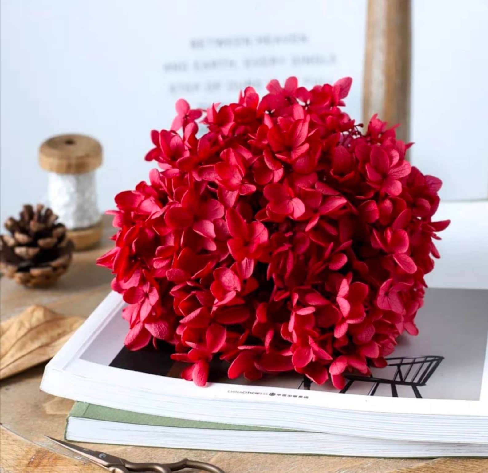 Red Dried Flower Real Preserved Flower Preserved Hydrangea Etsy