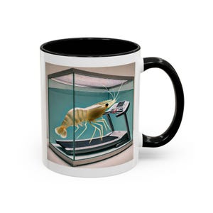Taza de camarones en una cinta de correr, taza divertida de camarones, taza de café de camarones, tazas políticas divertidas, regalo para amantes de los camarones, taza de meme viral, taza de chiste científico