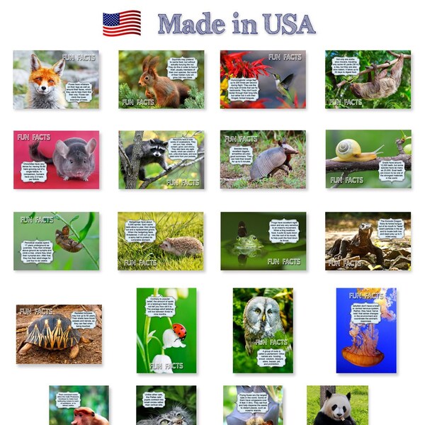 ANIMALS Fun Facts postcard set of 20 postcards. Animal and bird post cards variety pack. Made in USA.