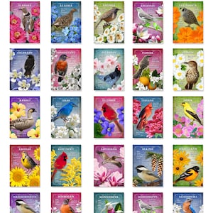 mail warbler mini art birder cedar waxwing postage Bird Postcard Set of 8 or 16 prints woodpecker chickadee bird