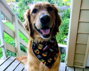 blackhawks dog jersey