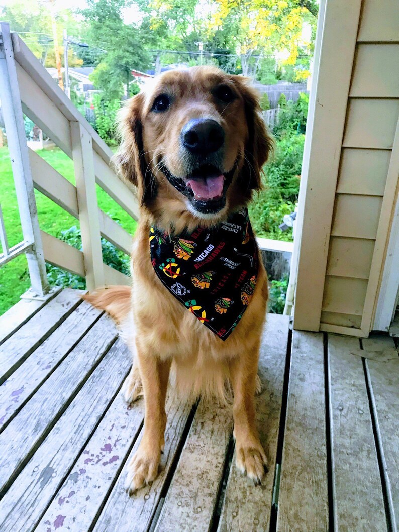 Chicago Blackhawks Dog BandanaHockey Pet AccessoryReady To Etsy