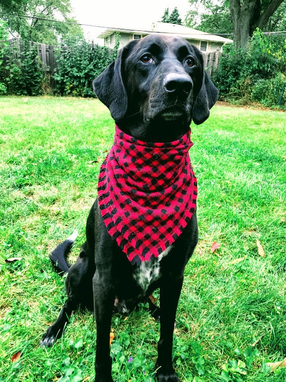 Fall Plaid Dog Bandana Pet Accessory Scarf Ready To Ship 100 Etsy