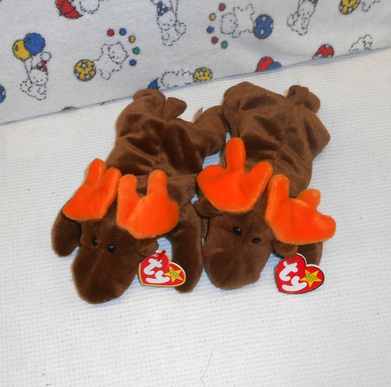 moose ty beanie baby