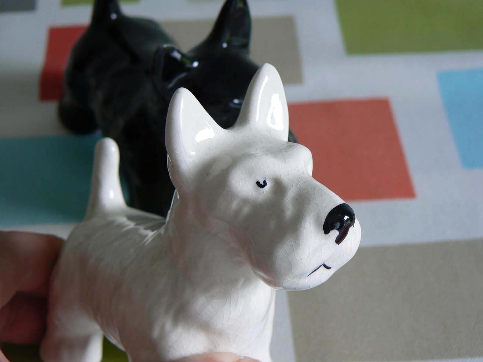 Black and White Whisky Dogs the