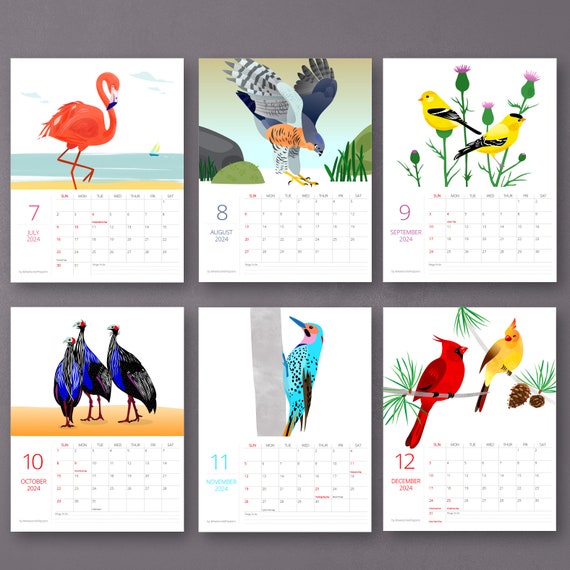 Calendrier des oiseaux 2024, calendrier mural illustré 2024, calendrier  mural 2024, calendrier suspendu mensuel, calendrier illustré des oiseaux,  cadeau des oiseaux -  France
