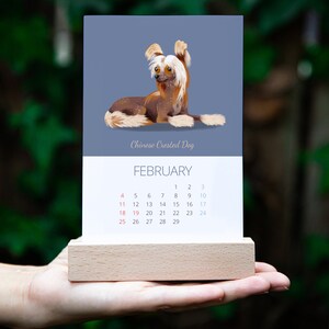 2024 Dogs Breeds Desk Calendar, 2024 Calendar with Stand, Dogs Calendar 2024, Corporate Holidays Gift, Holidays Gift, 2024 Desktop Calendar image 8