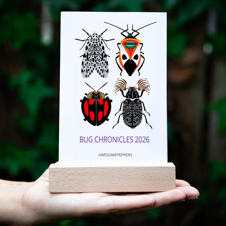 2026 Insect Art Desk Calendar With Walnut Wood Stand - Etsy