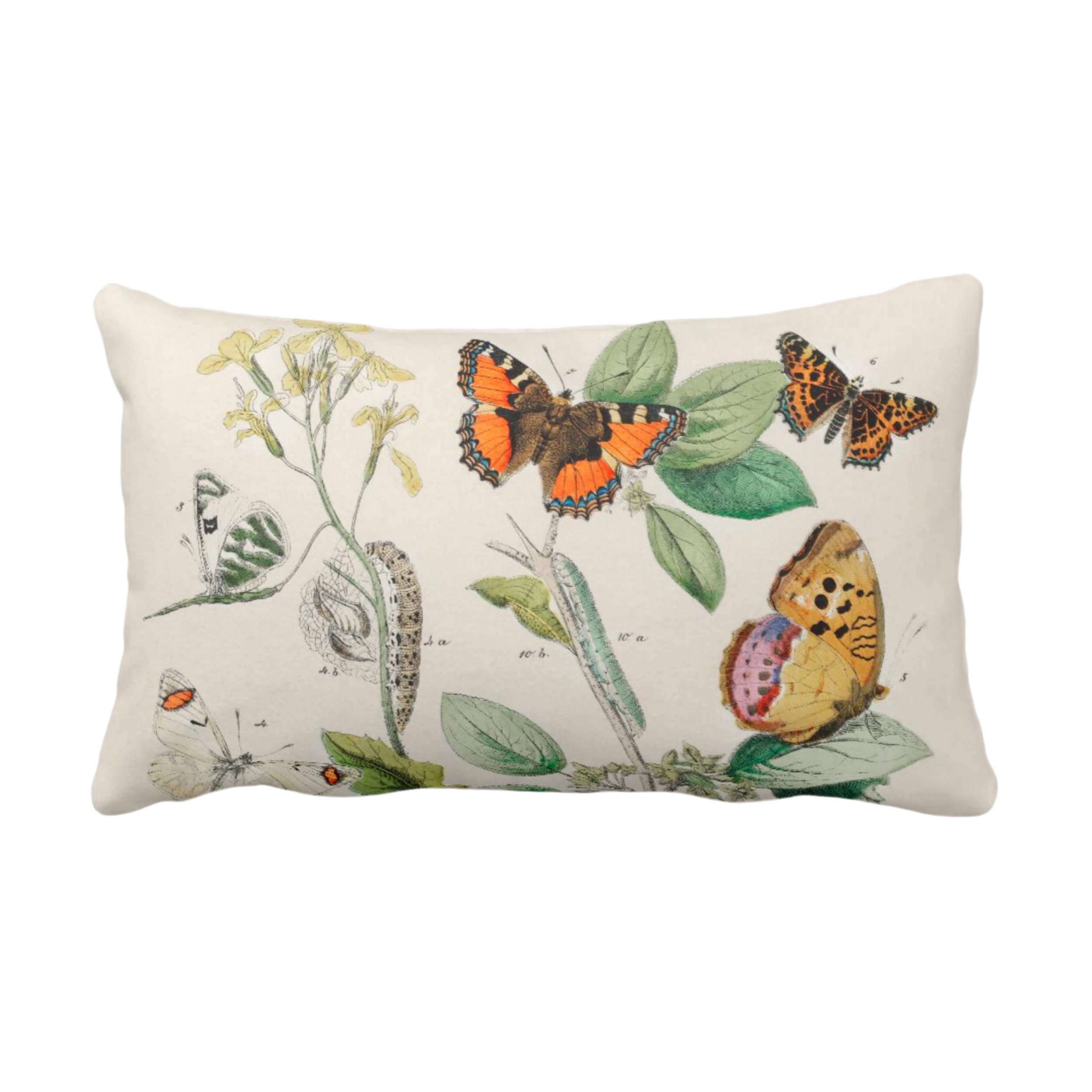 outdoor butterfly pillows