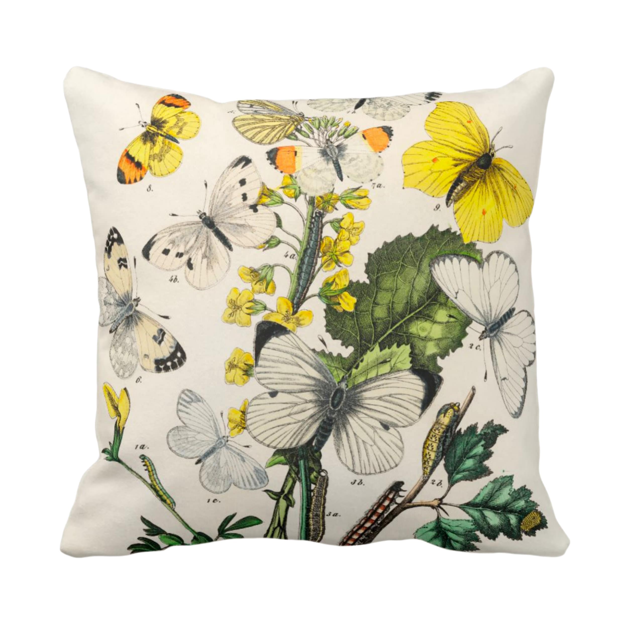 OUTDOOR Vintage Butterflies Throw Pillow/Cover, 16, 18, 20, 26 Sq