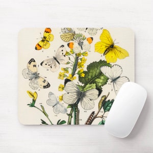 Pode incluir: Uma ilustração vintage de borboletas em um fundo branco com flores amarelas. As borboletas são brancas, amarelas e laranja com marcas pretas. As flores são amarelas com folhas verdes.