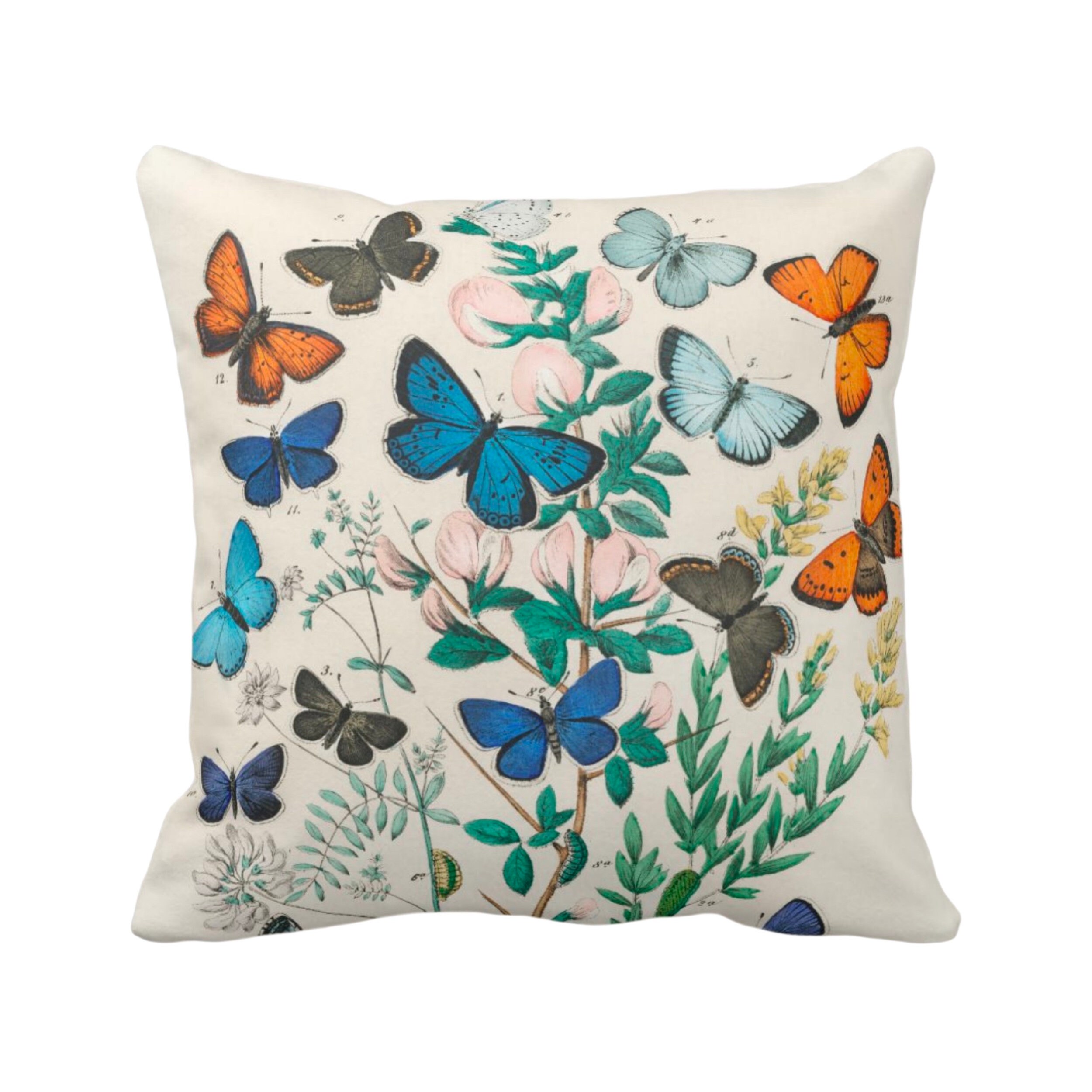 Butterfly throw cheap pillows