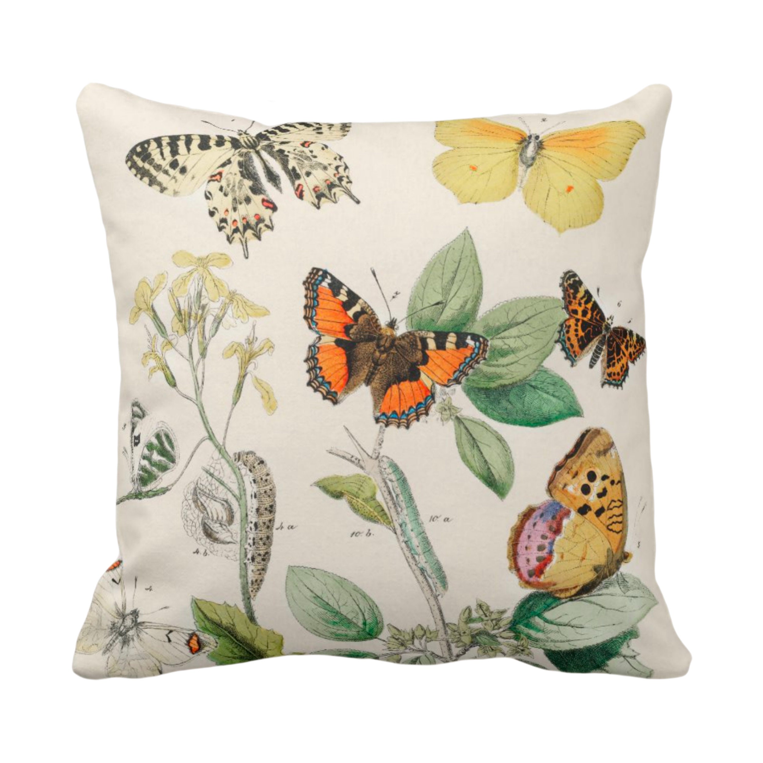 outdoor pillows with butterflies