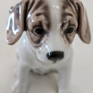 May include: A white and brown porcelain figurine of a small dog sitting with its head down. The dog has brown ears, brown markings on its face, and a black nose.