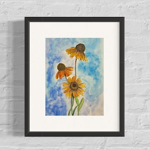 Black Eyed Susan