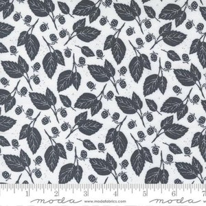 MIDNIGHT IN The GARDEN - Leaves in Mist (43125 21) - by Sweetfire Road for Moda - Sold by the Yard - Cut Continuous
